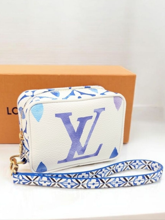 Louis Vuitton Handbags - ✨️Like new , Authentic Louis Vuitton Limited Edition Wapity Wristlet